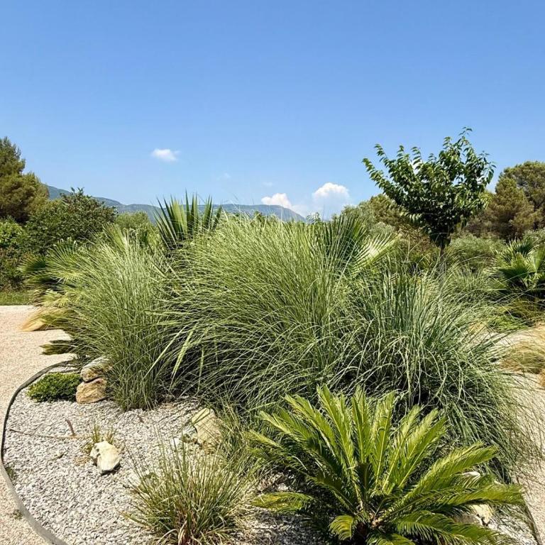 Nature house, pool, quiet - Maison 1 Chambre - 6