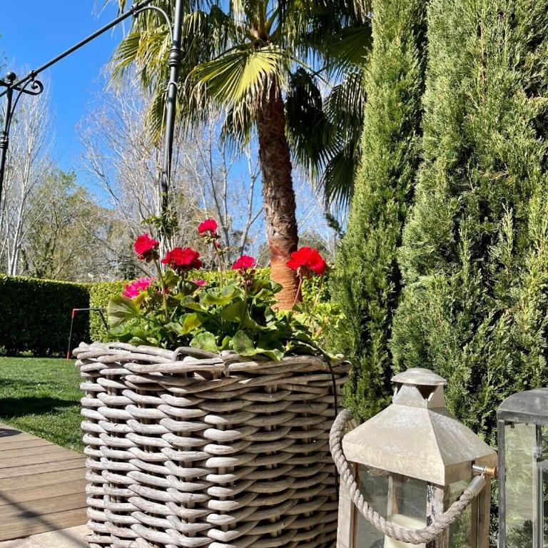 Super Cosy Villa Patio - Maison 5 Chambres - 35