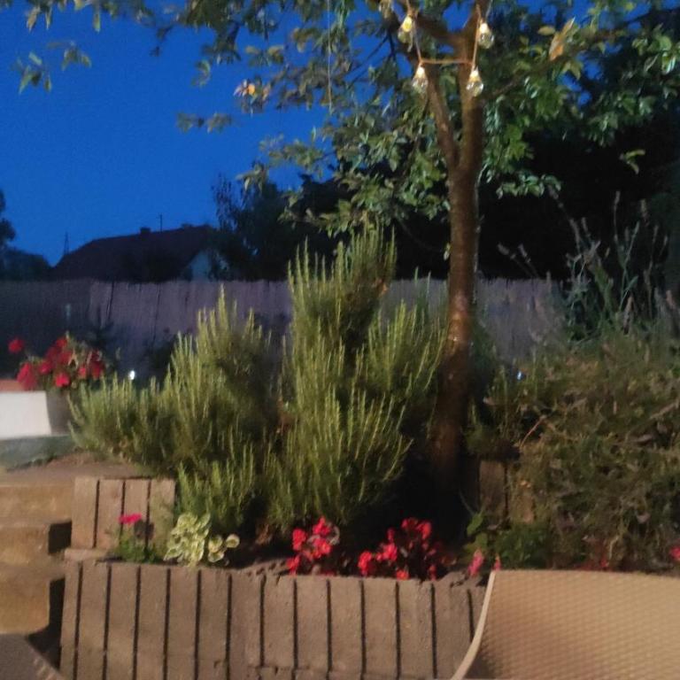 Welcome Apartman - Apartman sa 2 Spavaće Sobe - 10
