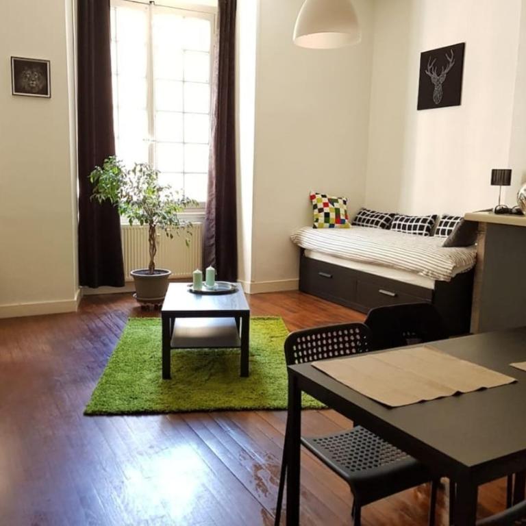 Vaste studio quartier historique - Apartment mit 1 Schlafzimmer - 1