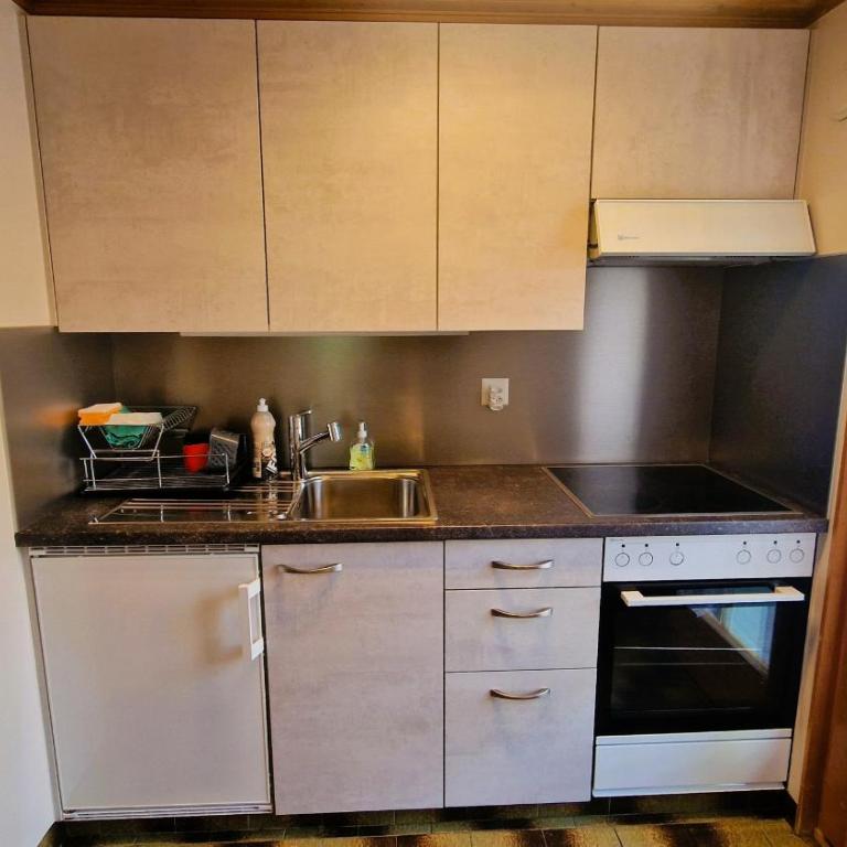 Chalet Lu Verzache 5 personnes - Chalet - 4