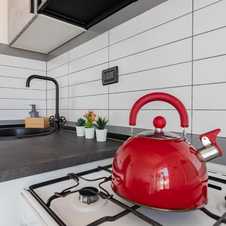 brg dx- Attico terrazza vista panoramica Lungarni Pisani - Appartamento con 2 Camere da Letto - 30