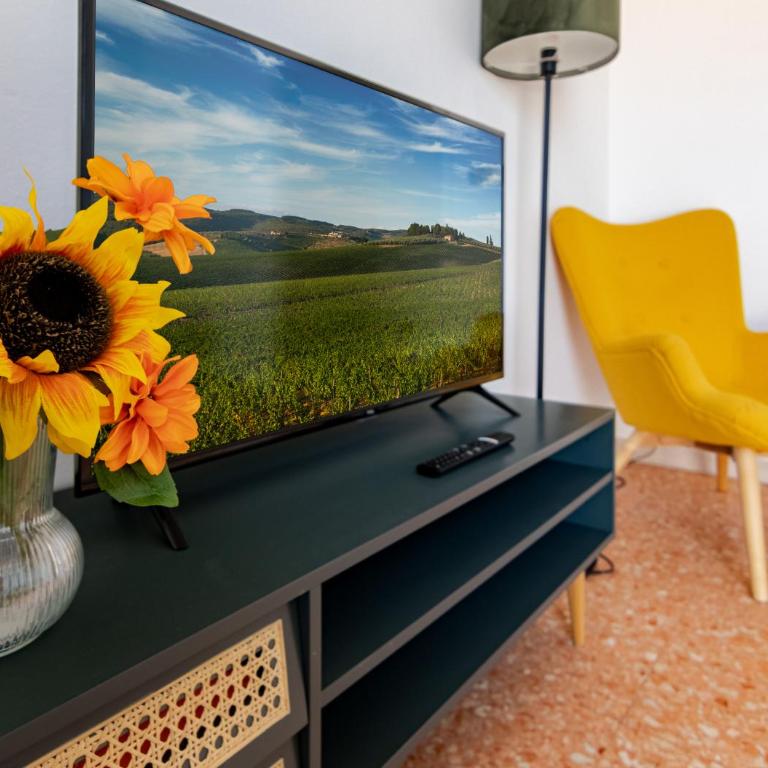 brg dx- Attico terrazza vista panoramica Lungarni Pisani - Appartamento con 2 Camere da Letto - 39
