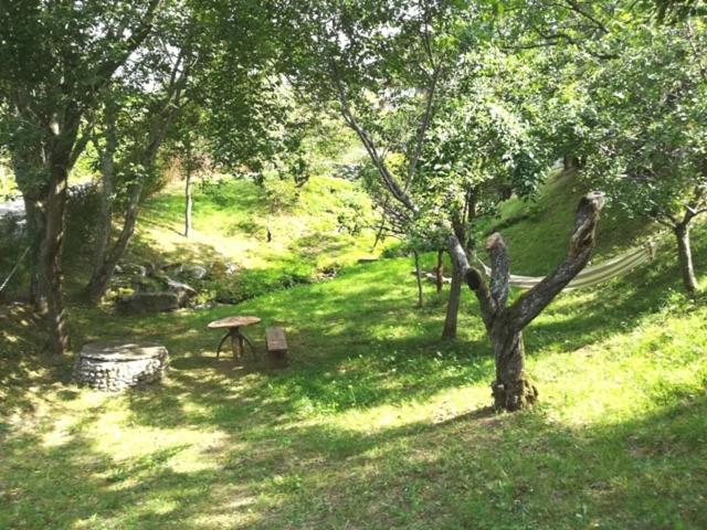Chalet Mondego, peaceful and comfortable - Chalet - 33