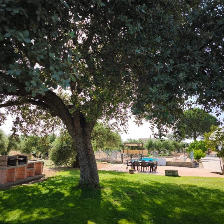 Recreo San Andrés - Casa de 5 dormitorios - 16