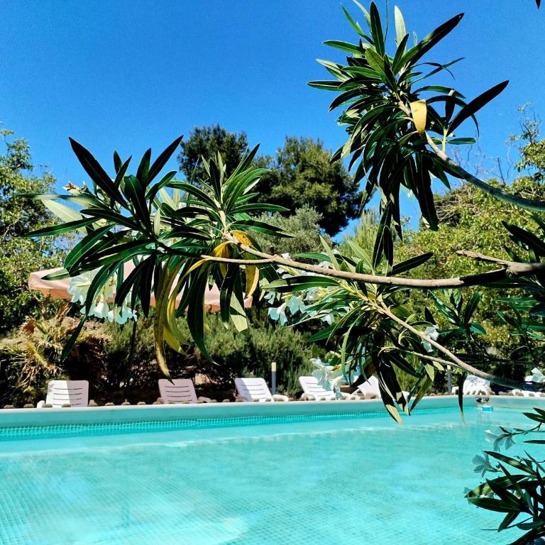 Trulli con piscina privata - Casa con 4 camere da letto - 7