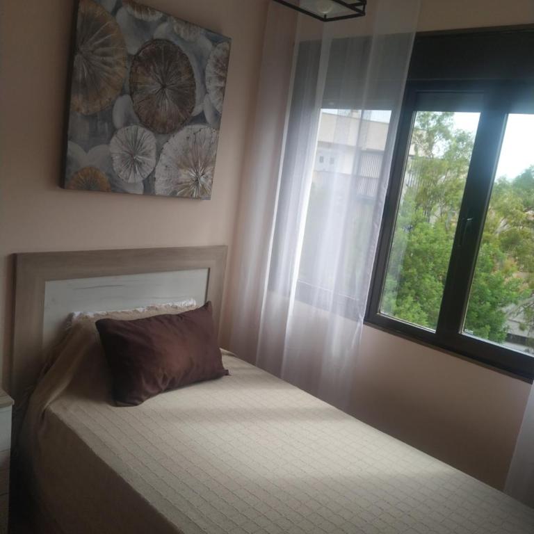 L'EUCALIPTUS - Apartamento de 3 dormitorios - 11