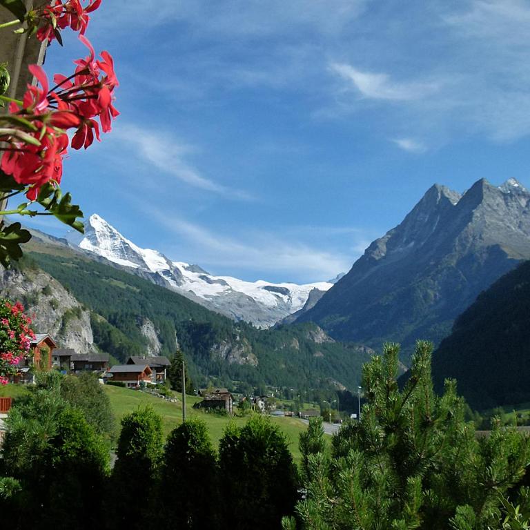 Bel Alp 2 Appartement avec jardin Evolene - Apartment mit Gartenblick - 10