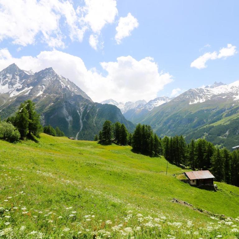 Mayen Motau - Retour a l essentiel La Forclaz - Chalet - 9