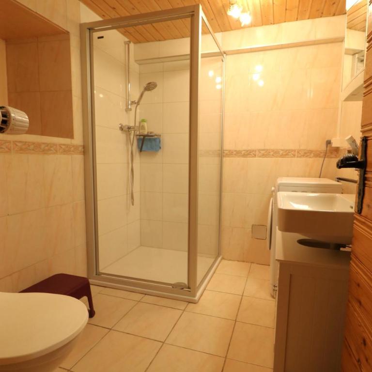 Le Tsenevire - appartement 4 personnes - Evolene - Apartment - 9