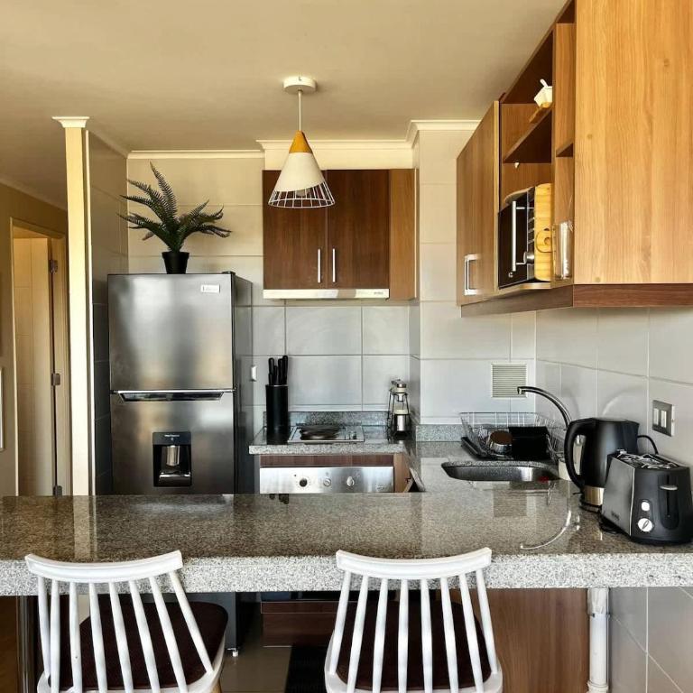 Dpto Centrico Temuco WIFI - Apartamento - 1