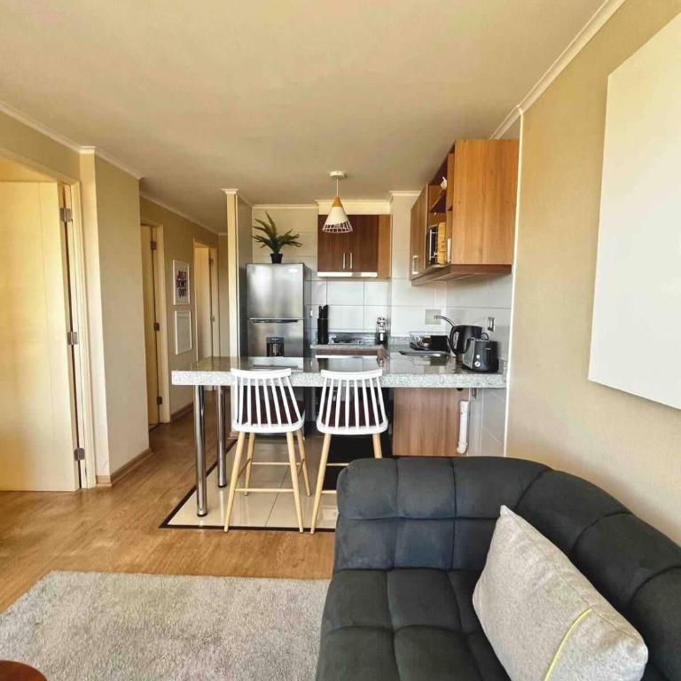 Dpto Centrico Temuco WIFI - Apartamento - 15