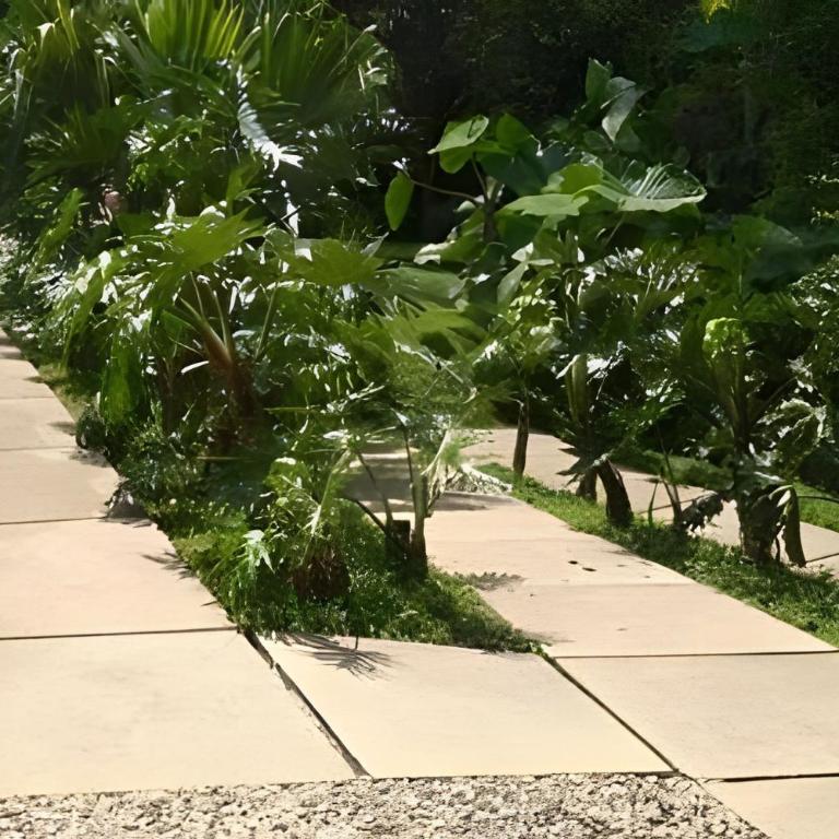 Awesome private design house La Vega close Bogota - Apartamento - 30