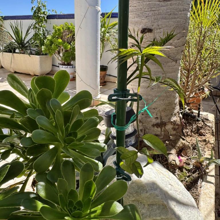 Brisa del Mar - Residencial Veramar - Apartamento de 2 dormitorios - 15