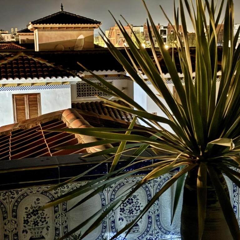 Brisa del Mar - Residencial Veramar - Apartamento de 2 dormitorios - 45