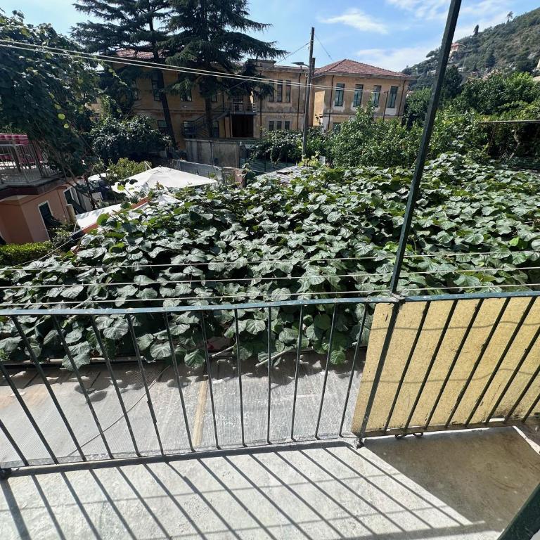 Kiwi home in the historic center with a small terrace - Appartamento con 2 Camere da Letto - 35