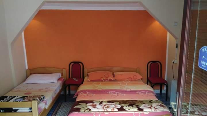Prenociste Ruza - Eight-Bedroom House - 12