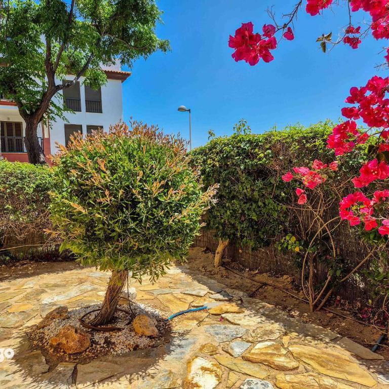 Ground Floor 3 bedrooms - Pool access - KON01 - Apartamento de 3 dormitorios - 21