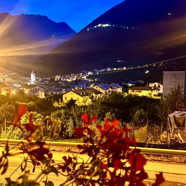 Bon Chalet Tirano - Bernina Express Apartment - Apartment - 51