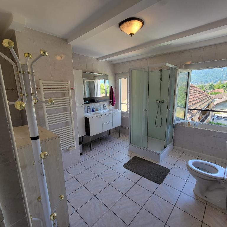 Au bord du Foron - Appartement - 20