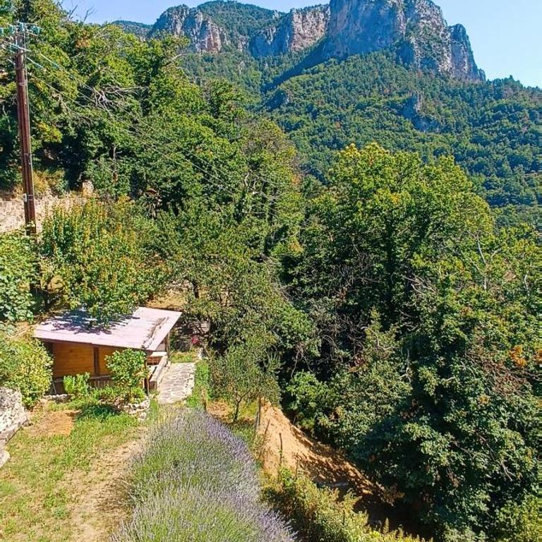 Maison de charme en pleine nature 8-10 personnes - Appartement - 8