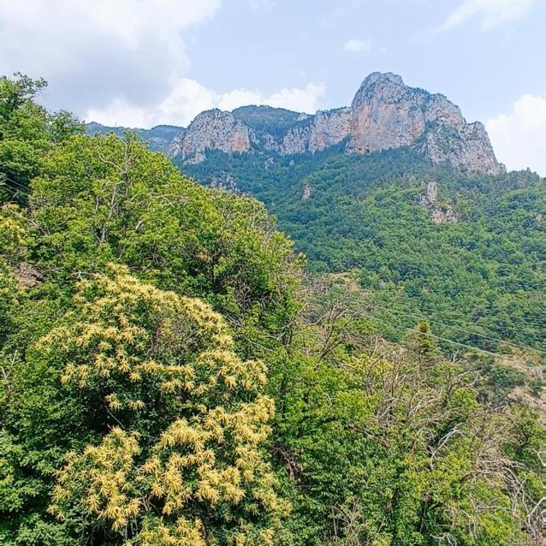 Maison de charme en pleine nature 8-10 personnes - Appartement - 13
