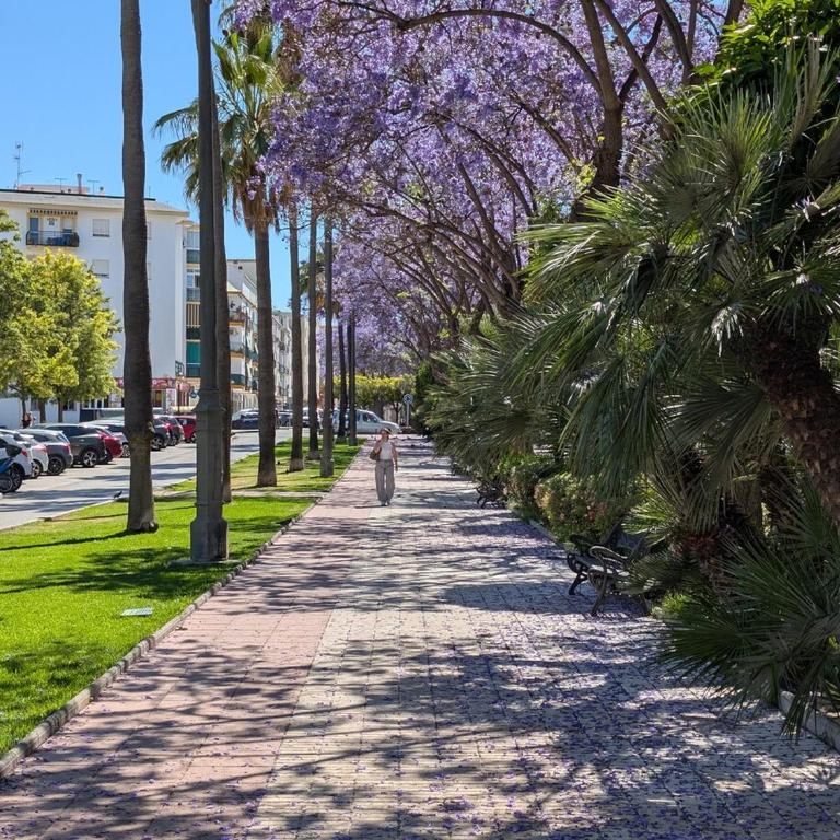 Paraiso Estepona Martinez - Apartamento de 2 dormitorios con balcón y vistas al mar - 44