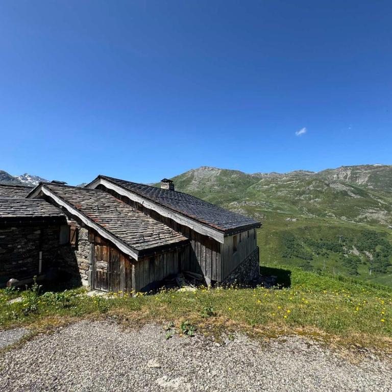 Chalet de Charme au bord des pistes, 14/15 pers, wifi - FR-1-452-108 - Chalet - 8