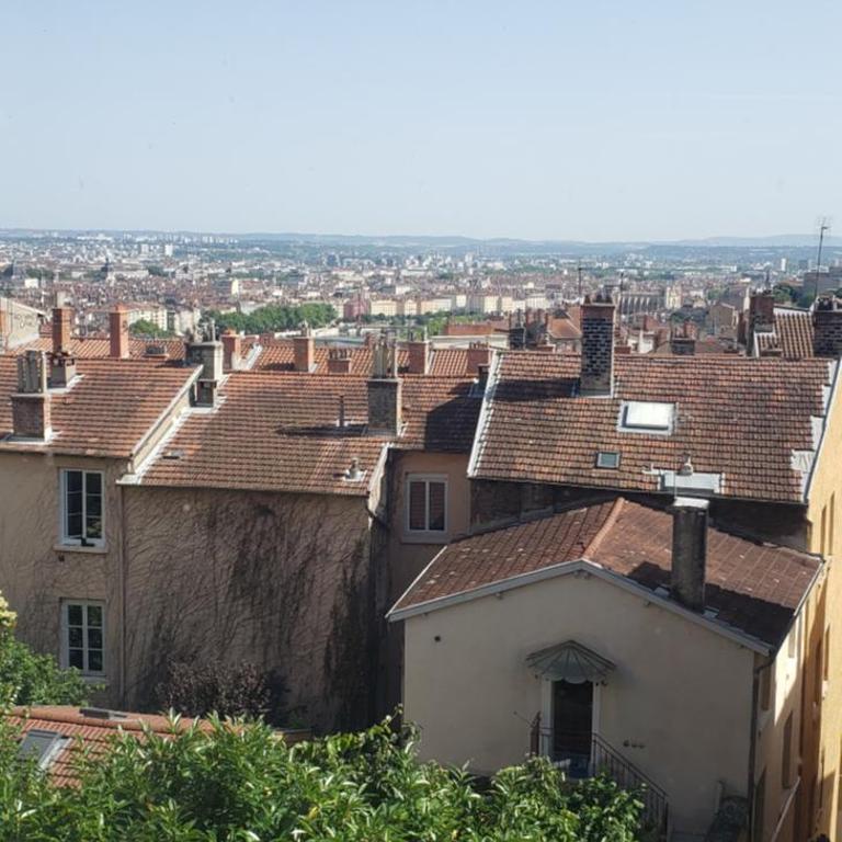 Charming apartment Croix Rousse with a view - Appartement 1 Chambre - 7