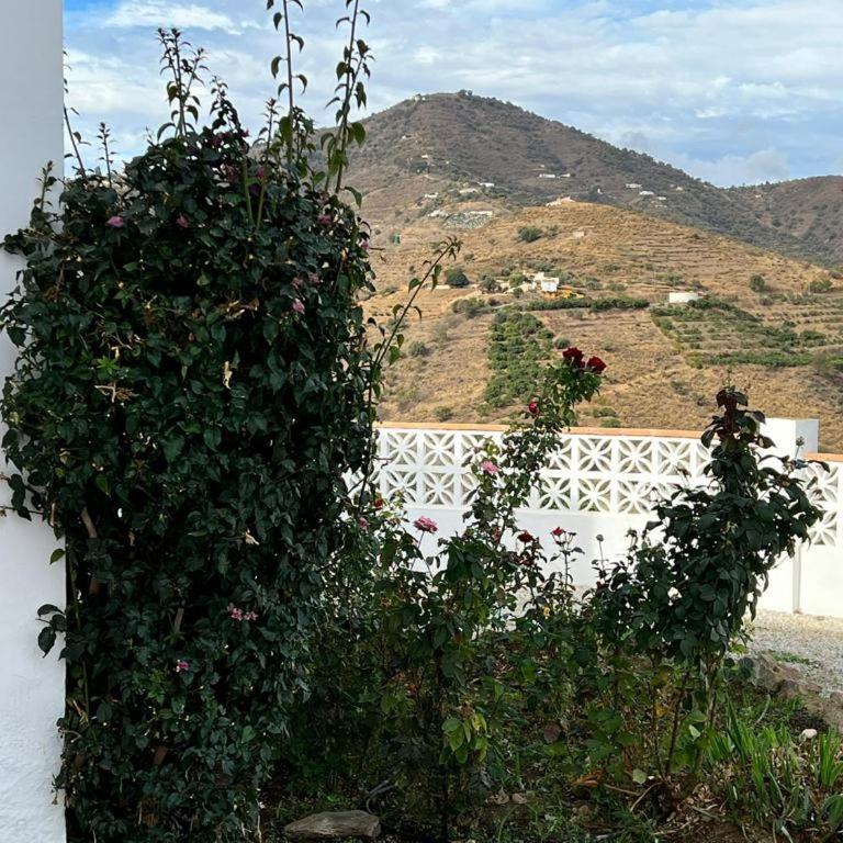 Villa Zarzuela Torrox - Casa con 1 dormitorio - 6