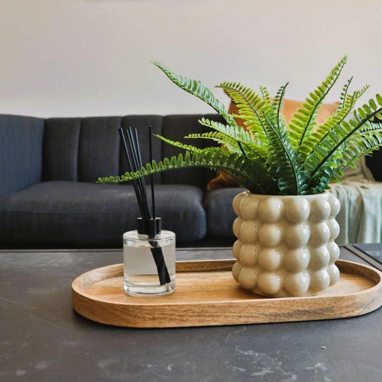 HOM I Parking Privado I Mall Plaza Egaña I WIFI - Apartment - 6