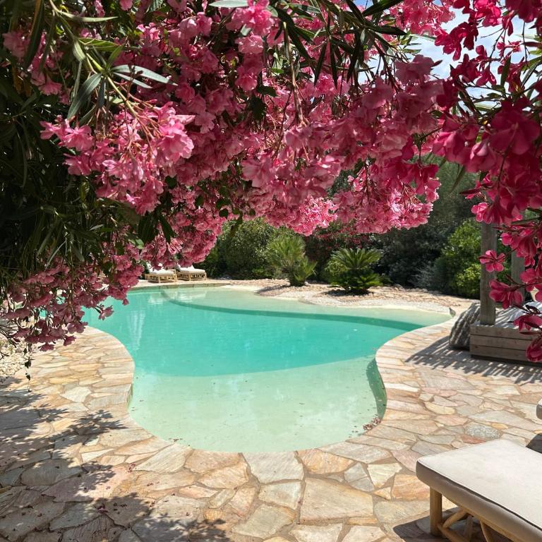 Luxueuse Villa, Hyper centre PORT de PORTO VECCHIO - Villa - 1