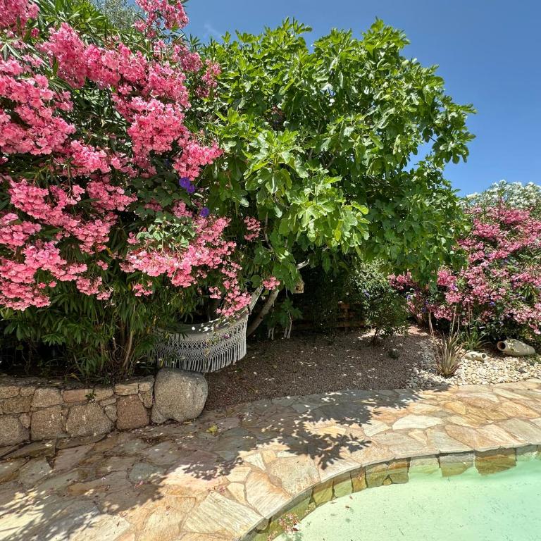 Luxueuse Villa, Hyper centre PORT de PORTO VECCHIO - Villa - 24