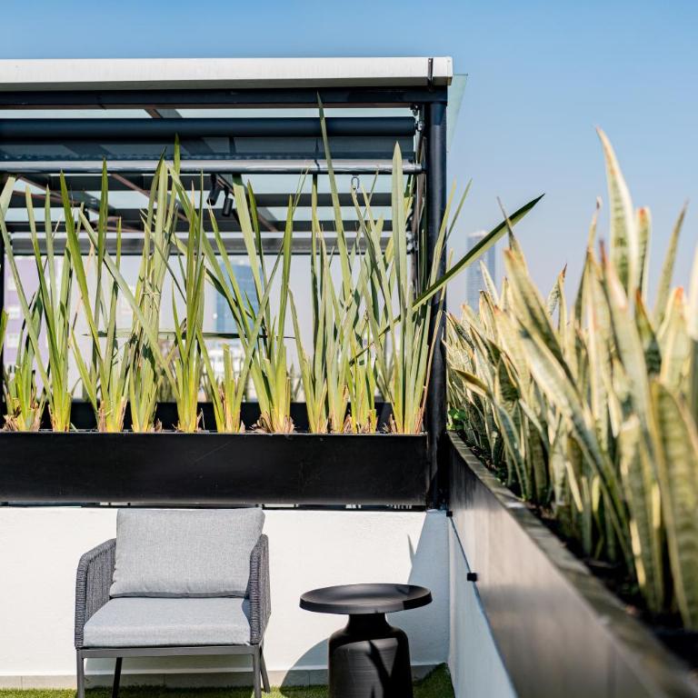 Mint Roma Residence - Tienda - 2