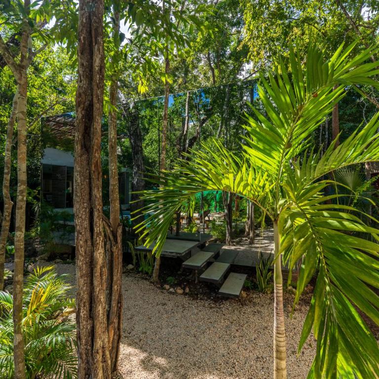 Chay Glass Jungle House - Estudio con vistas al jardín - 30