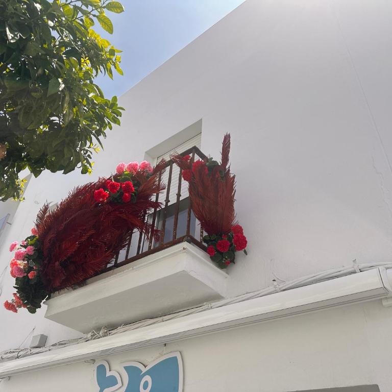 Estudio Boutique Mar de Bering - Apartamento de 1 dormitorio - 15