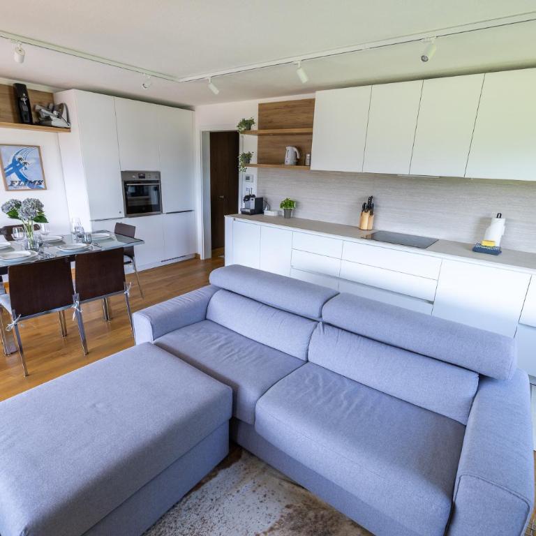 Panoramic View Apartment - Flims-Laax Ski Area - Apartment mit 2 Schlafzimmern - 21