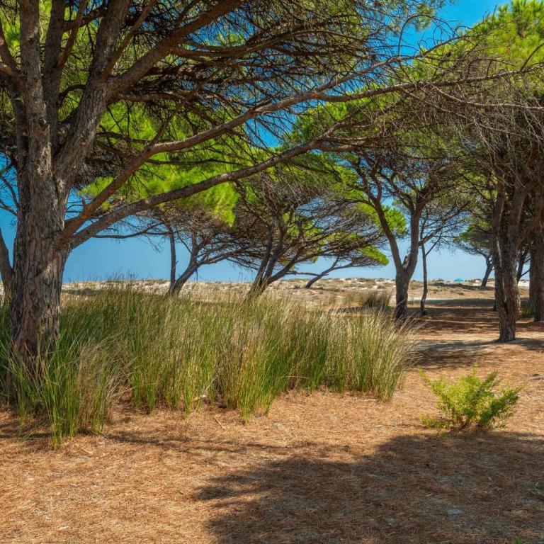 Holiday home Budoni - Insel Sardinien 27734 - Appartamento - 23