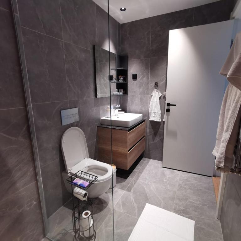 Beograd na vodi - Belgrade Waterfront Apartments - One-Bedroom Apartment with River View - 6