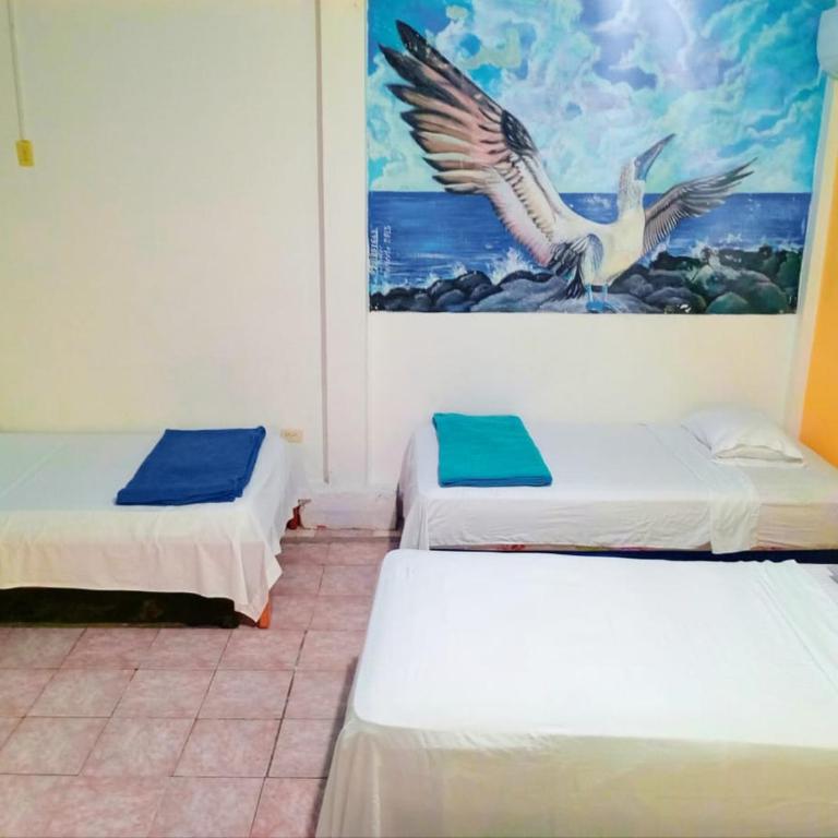 Hostal Puerto Ayora - Habitación Familiar - 3