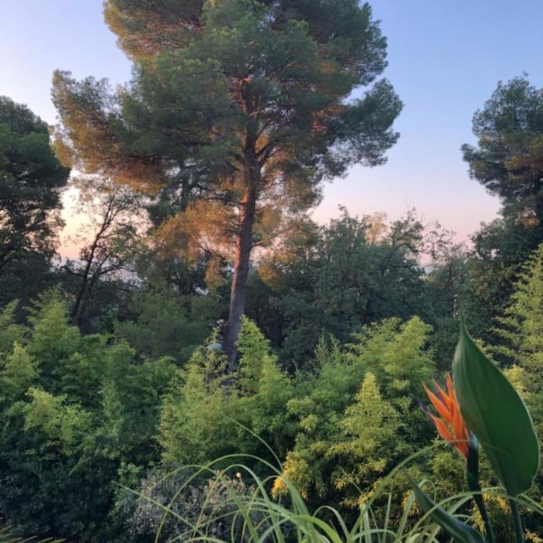 3P, Cannes, Domaine securise, Piscine, Tennis, Golf, 3 Etoiles - Appartement 2 Chambres - 2