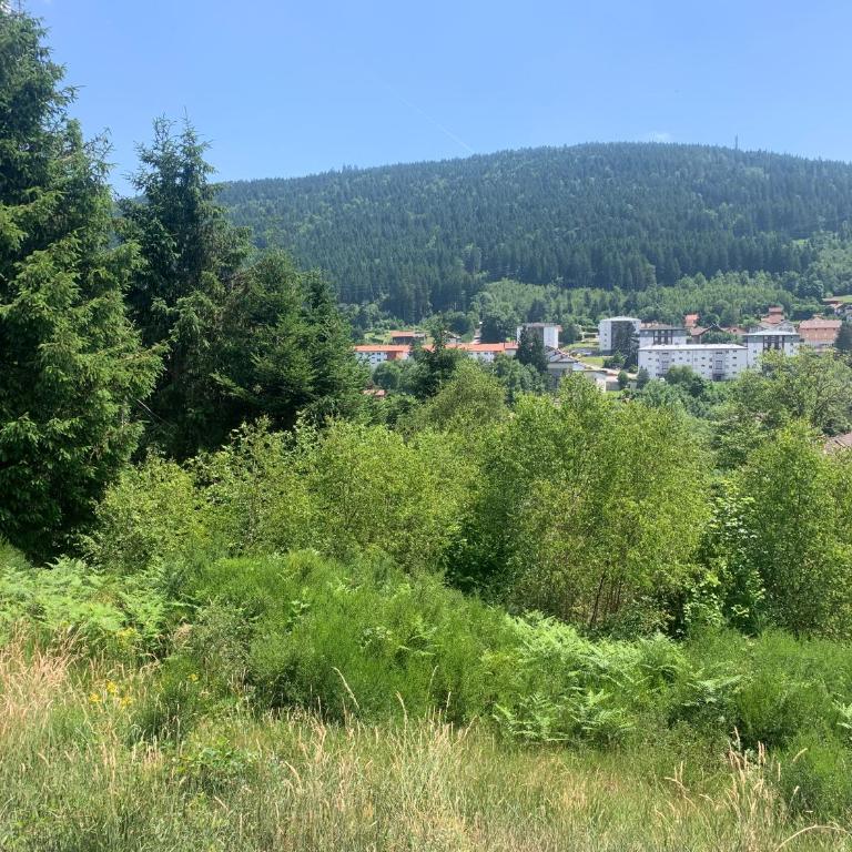 Appartement avec 2 chambres et séjour balcon plein sud et une vue panoramique 180 a GERARDMER - Appartement 2 Chambres - 7