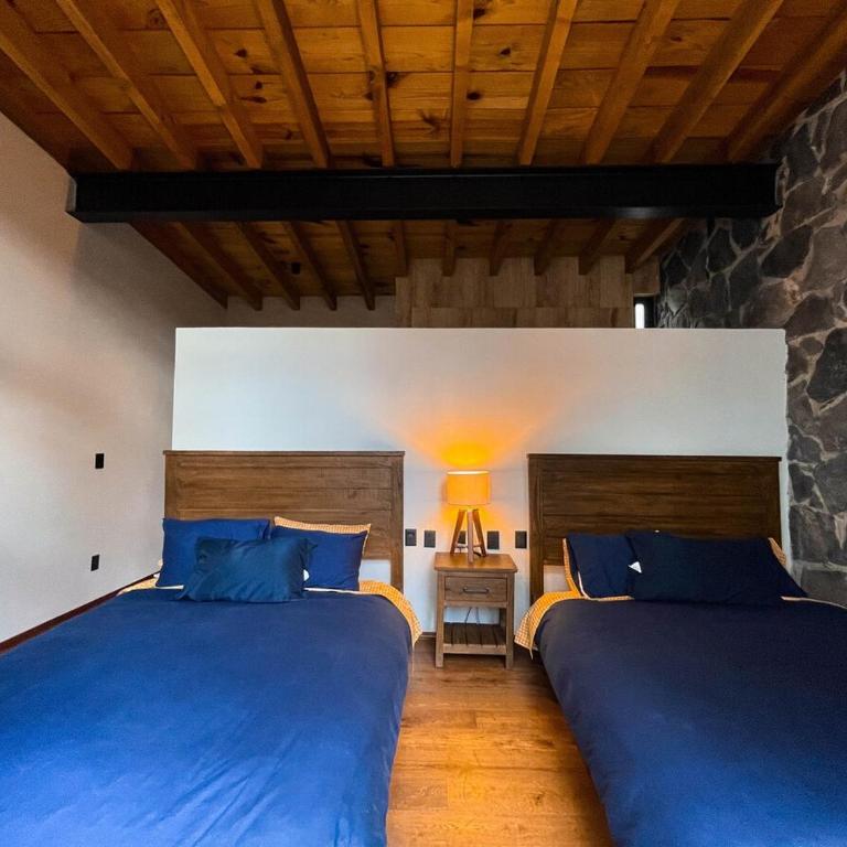 Casa Olivo - Casa - 22