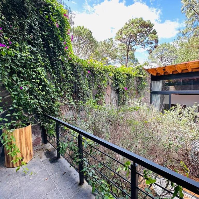 Casa Olivo - Casa - 65