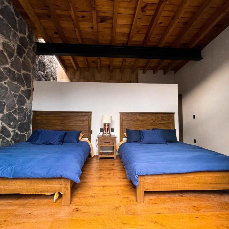 Casa Olivo - Casa - 71