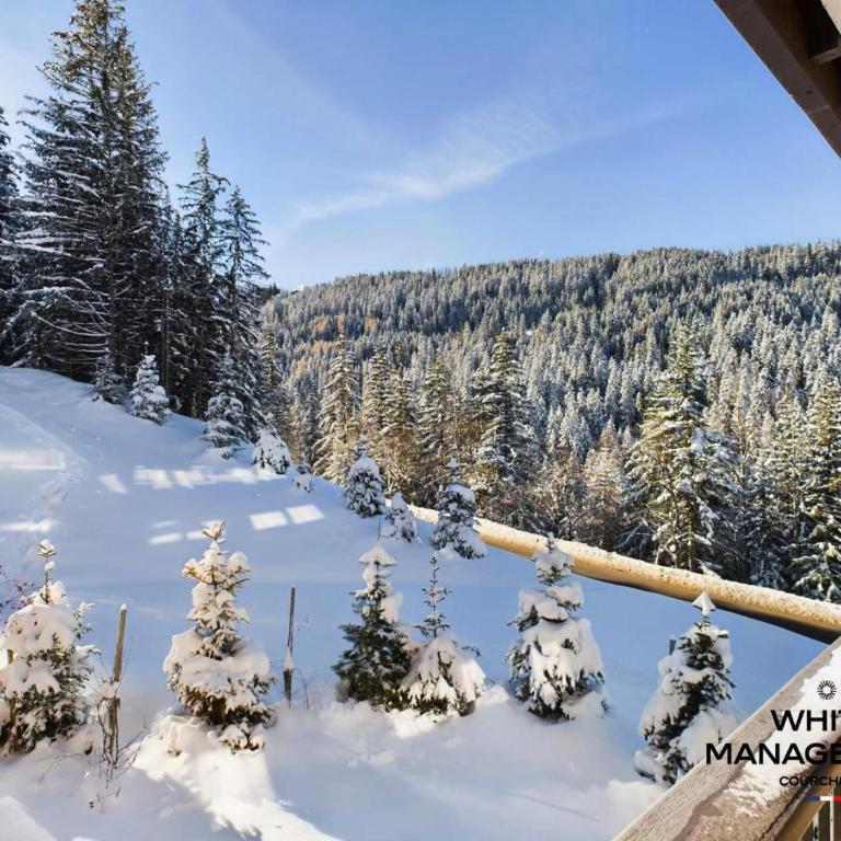 Résidence Ariondaz Hellebore - Superbe appartement haut de gamme et ski-in MAE-4714 - Appartement - 14