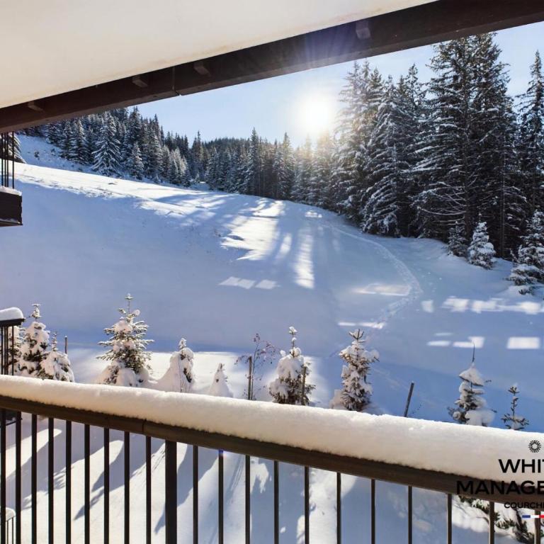 Résidence Ariondaz Hellebore - Superbe appartement haut de gamme et ski-in MAE-4714 - Appartement - 15