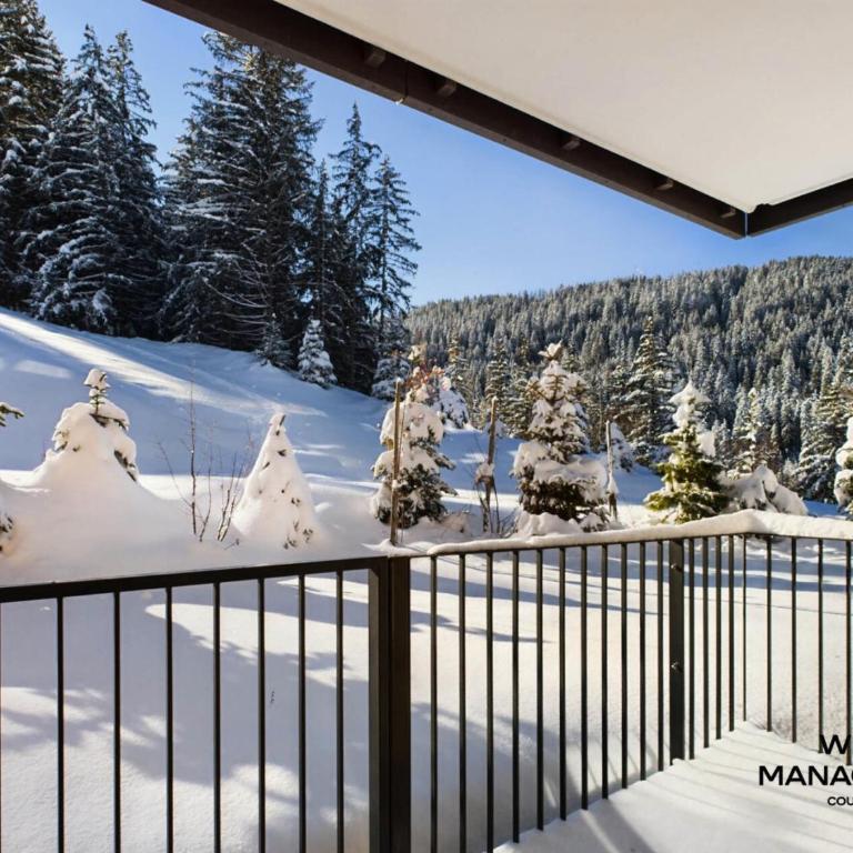 Résidence Ariondaz Hellebore - Beau T2 Cabine pour 5 personnes MAE-7724 - Appartement - 13