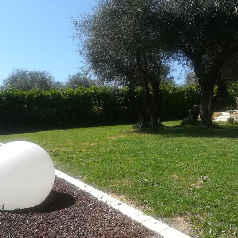 Villa 12 p entre Nice et Cannes piscine clim - Villa - 2