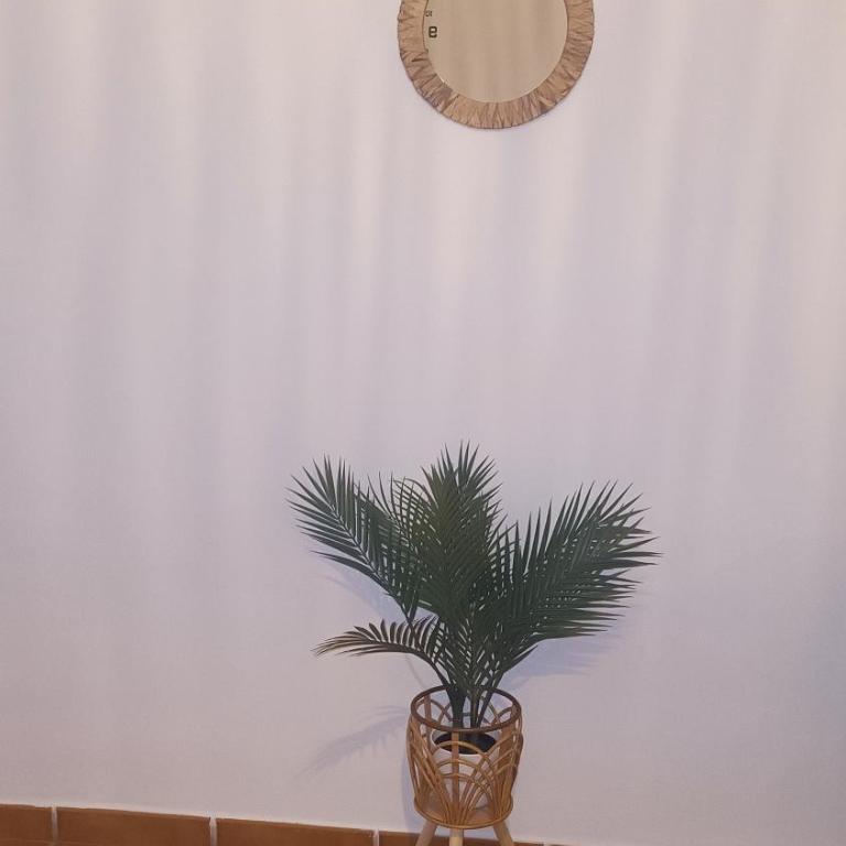 Dihara - Apartamento de 1 dormitorio - 74